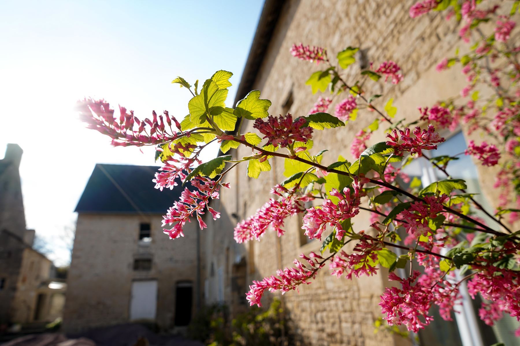 romane-lesellier-balthazar-agence--8776